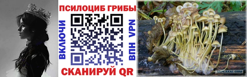 Галлюциногенные грибы Psilocybe  mega вход  Хабаровск 